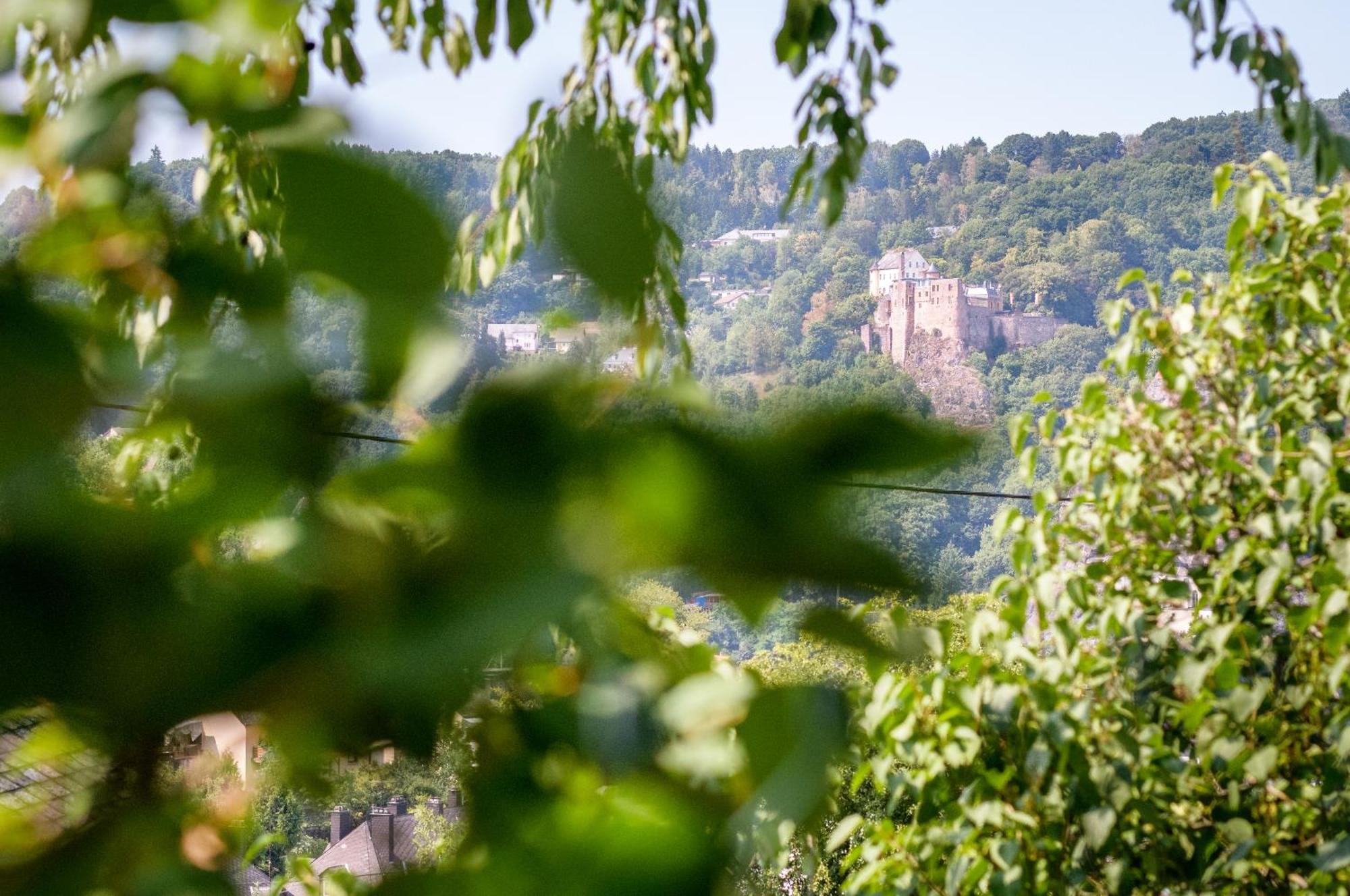 Haus Kallin Idar-Oberstein Exteriör bild
